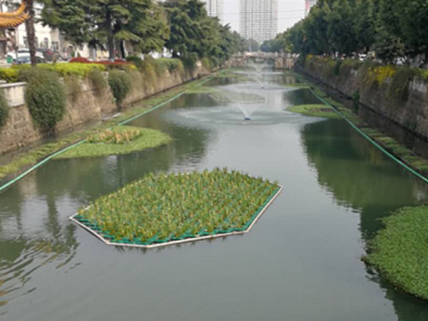 常州市薛家镇区域水环境综合整治项目